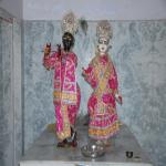 Vraj-Yatra-2014- (801)